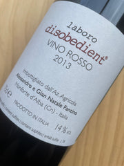 Alessandro e Gian Natale Fantino Laboro Disobedient 2013