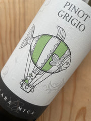 Casa Amica Pinot Grigio 2025