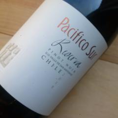 Pacifico Sur Reserva Pinot Noir 2022