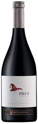 Ventisquero Herú Pinot Noir 2020